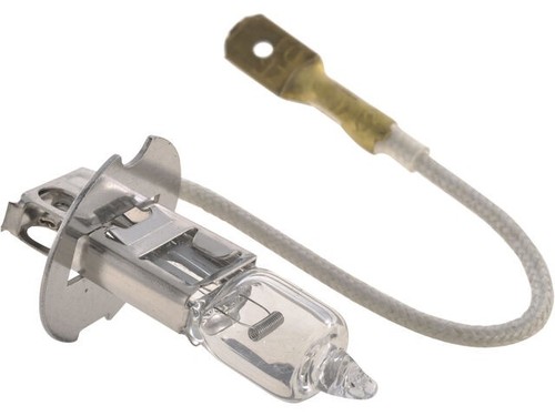 Front fog light bulb for - front,