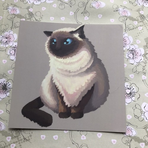 Himalayan cat square post card - himalayan,