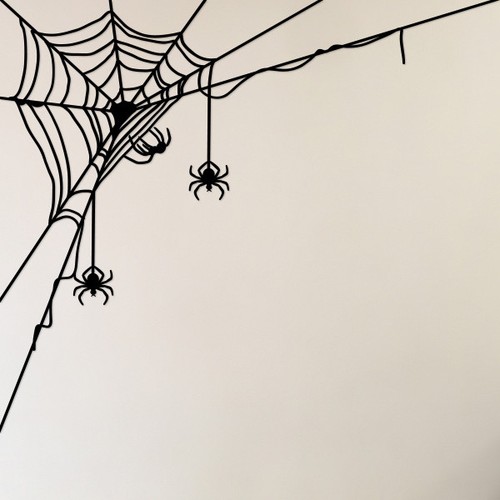 Spiders web realistic scary - realistic,
