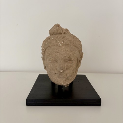 Gandhara stucco head - gandhara,