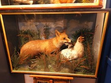 Large glass antique display - antique,