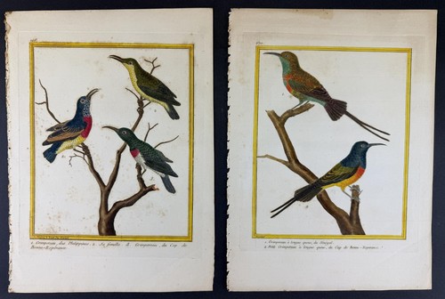 Two 1776 martinet histoire des - 1776,