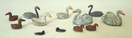 Waterfowl swans ducks geese - swans,