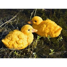 2 Animal Floting Yellow Duck