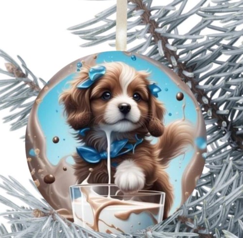King charles cavalier - cavalier, spaniel