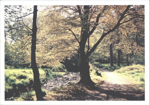 Lews castle grounds - lews,