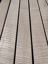 CURLY MAPLE acoustic /