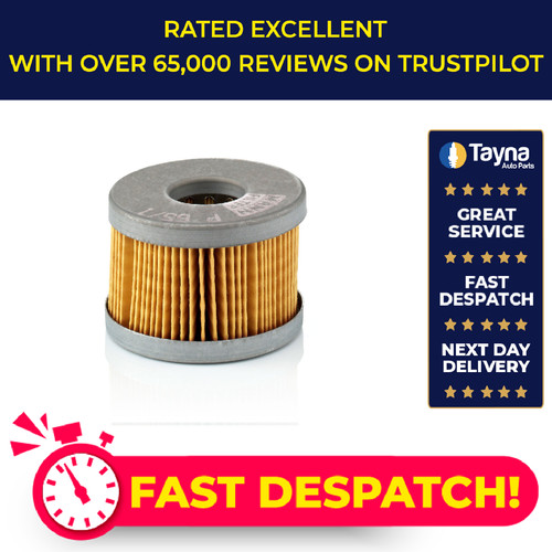 Fuel filter fits - fuel, jaguar
