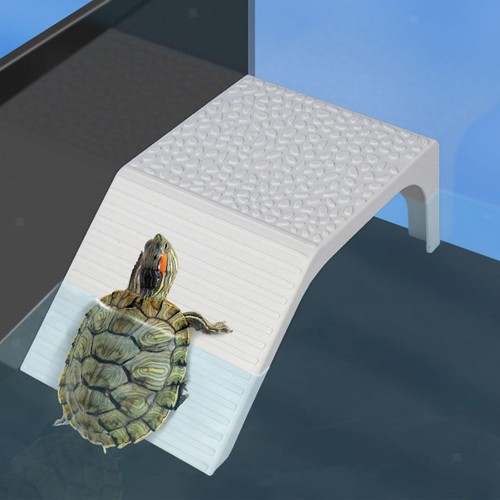 Turtle basking platform - turtle,