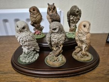 Owl Ornaments Bird Collection Figurines Pack of 6