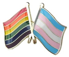 Rainbow & Transgender Flag Pin Badge LGBT Friendship Brooch Gay Pride