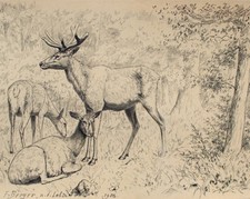 Fritz Berger Drawing Deer Coal