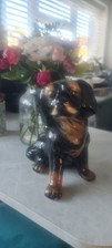 Rottweiler Puppy Figurine. Life Size. 37cm Tall. Weighs 3.2kg.