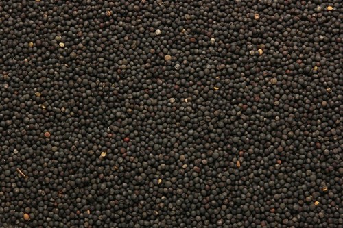 1kg 3kg 20kg black - /,