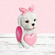 Valentines Maltese Bichon