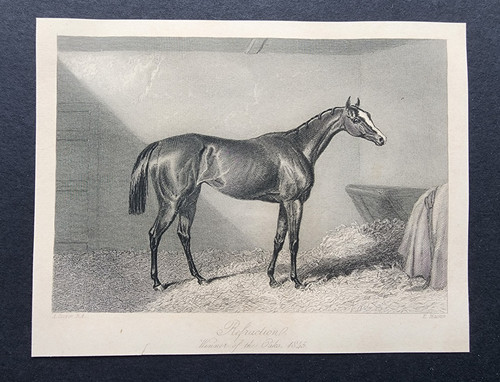 Antique 1845 print horse - antique,