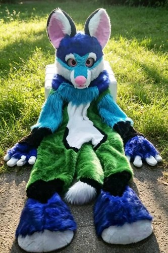 Long fur husky - fur, fox