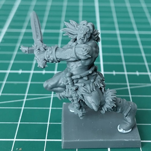 Avatars war barbarian - avatars,