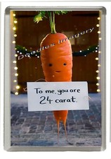 Christmas Kevin the Carrot -