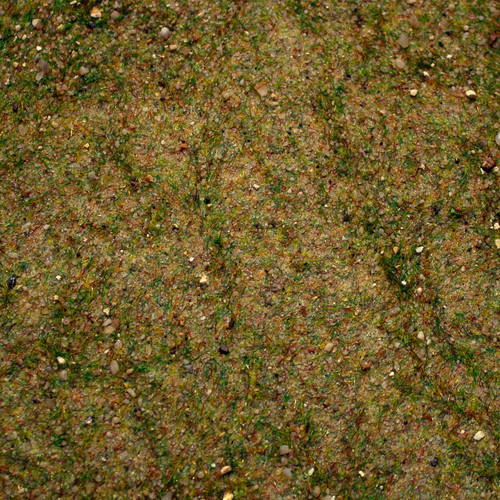 Base ready fields new - base,