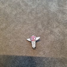 Vintage Badge UCW Post Office District Organiser