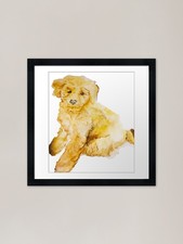 Cute Labradoodle Puppy