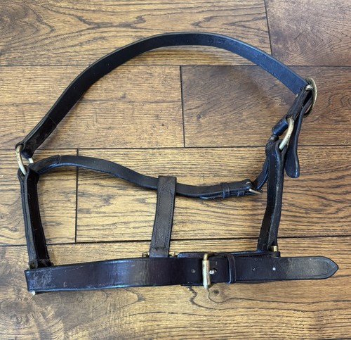Pony size brown - size,