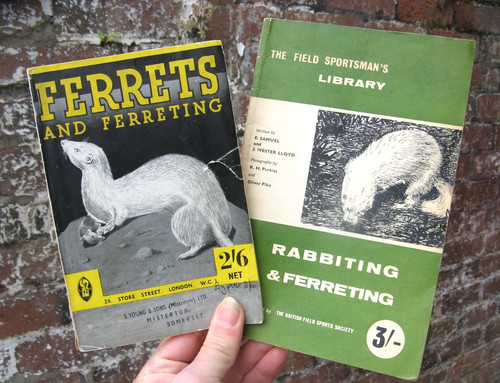 Ferrets and ferreting - and, /