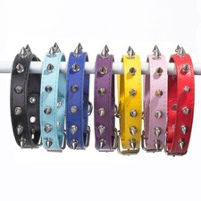 Colorful Cat Dog Collar Cool