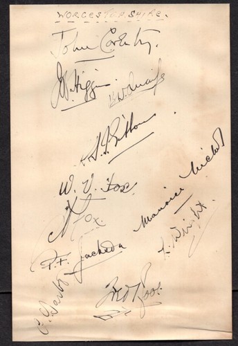 Cricket autographs - 11,