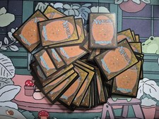 MTG BUDGET Mystery EDH Custom