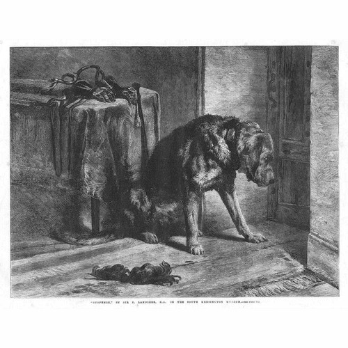 Edwin landseer suspense - landseer,