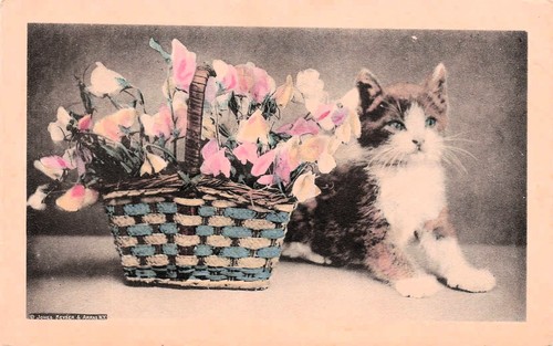 Cat kitten woven splint basket - cat,