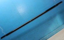 decorative strip black groin