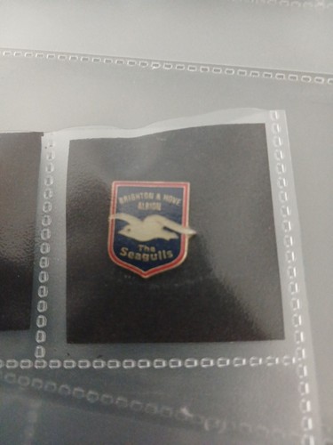 Brighton badge - brighton,