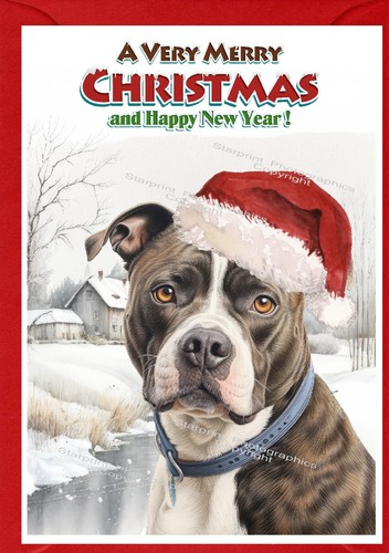 Staffordshire bull terrier - bull,