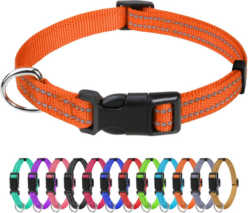 Reflective dog collar - reflective,