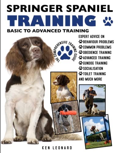 Springer spaniel training - springer,