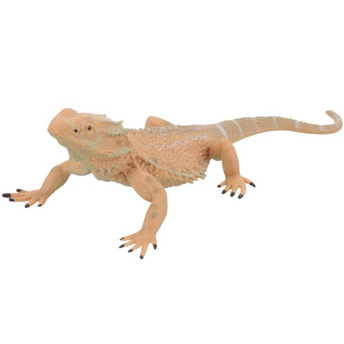 Bearded dragon realistic - dragon,