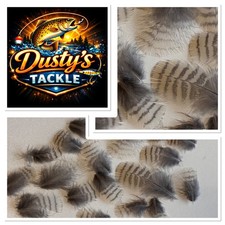 Woodcock Hackle Neck Breast