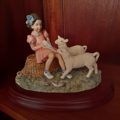 Border fine arts pet - fine, lambs