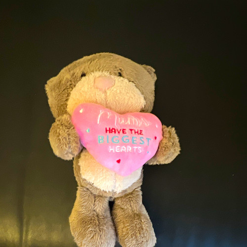 Grey plush teddy bear holding - teddy,