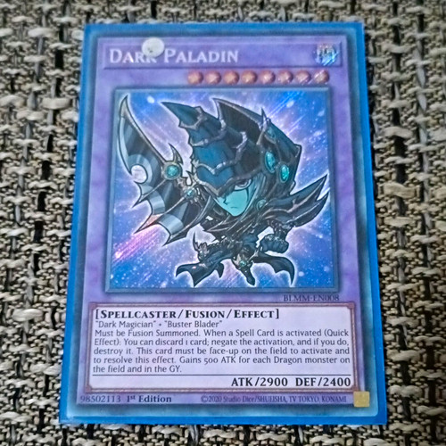 Tcg dark paladin - dark,