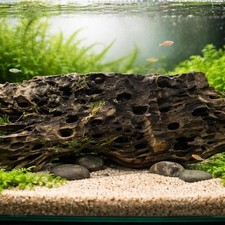 Aquarium bogwood used - -,
