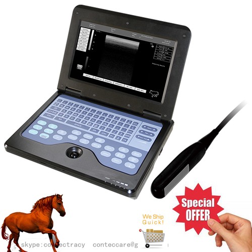 Veterinary vet ultrasound - veterinary,