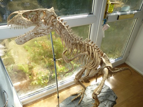 Magazine amazing dinosaur - magazine,