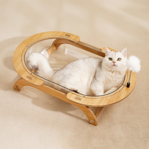 Clear cat bed sofa - sofa, couch
