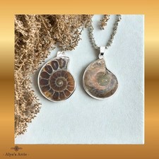 Madagascan Fossil Ammonite