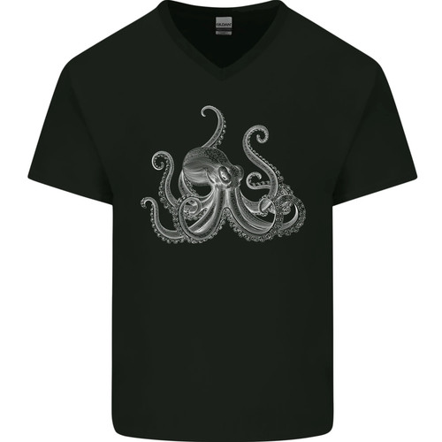 Octopus scuba diver deep - an,