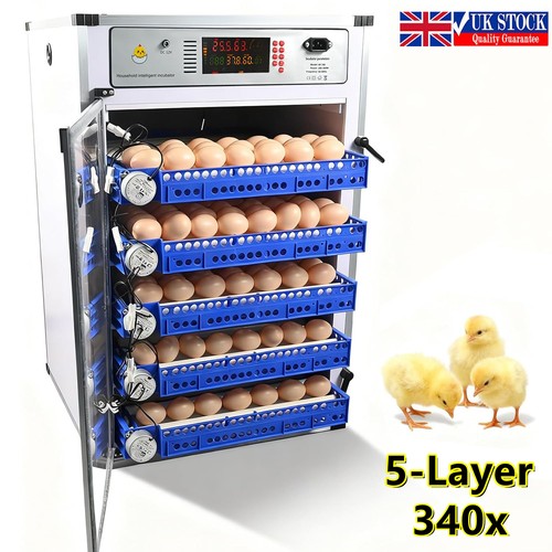 Automatic digital 340 eggs - digital,